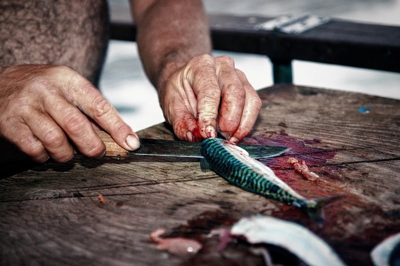 Knife Skills 101